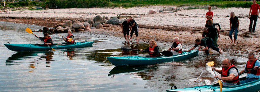 Sea kayaking on Vejle Fjord is a fun and popular activity for meeting participants