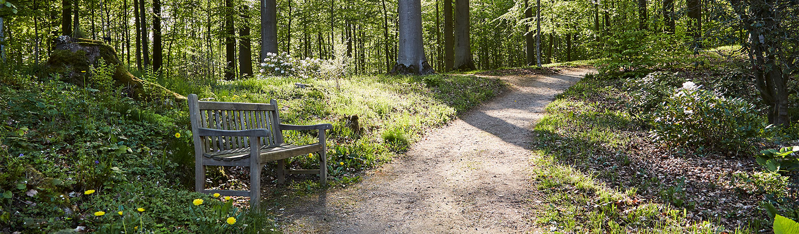 Trails with benches across the beautiful area